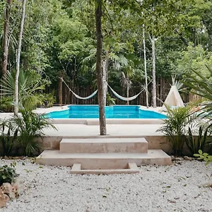 https://lunita-jungle-hotel.quintano-roohotels.com