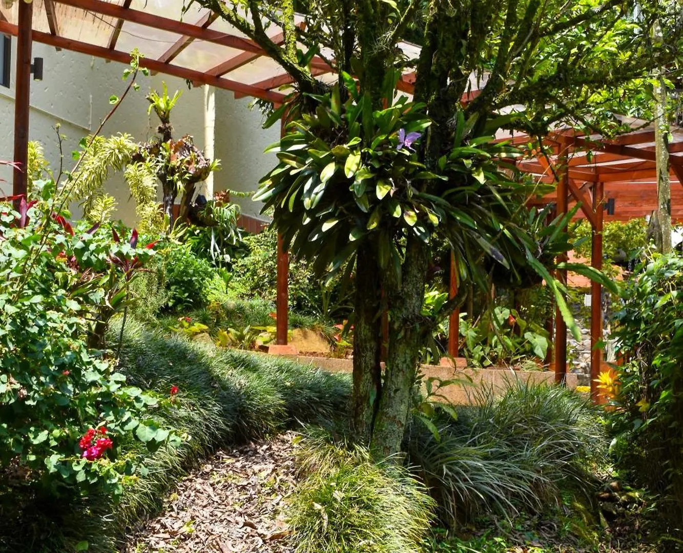 La Campana Hotel Boutique Medellin 3*,